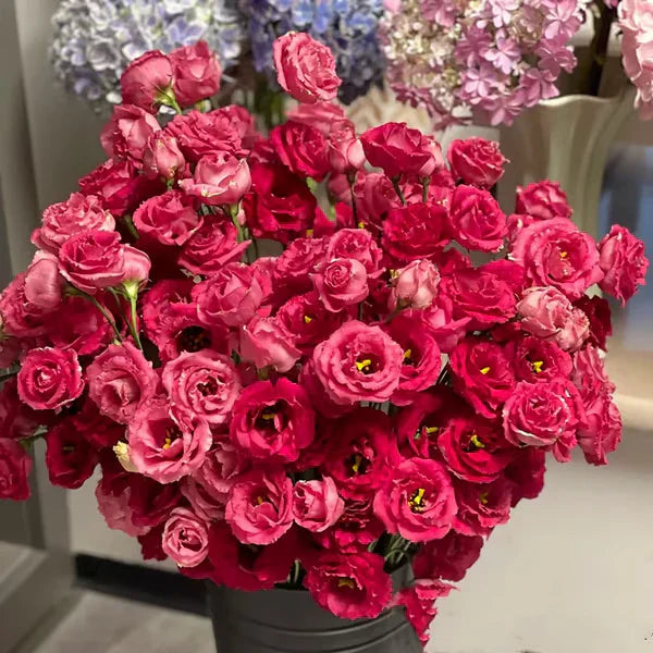 Sementes de Lisianthus 💐