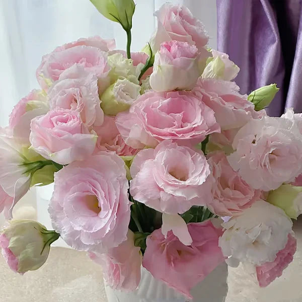 Sementes de Lisianthus 💐